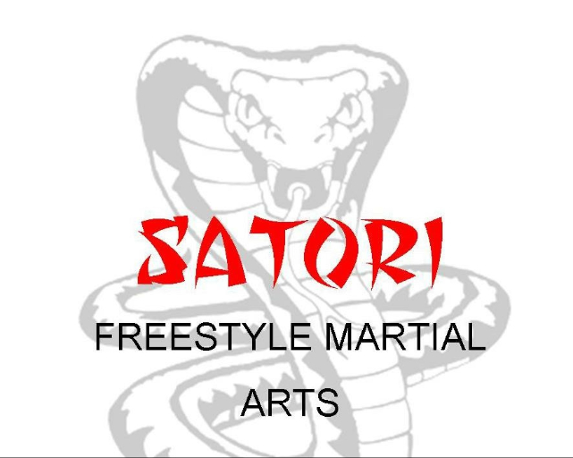 Satori Freestyle Martial Arts in Erdington in Birmingham Birmingham B23 6DF
