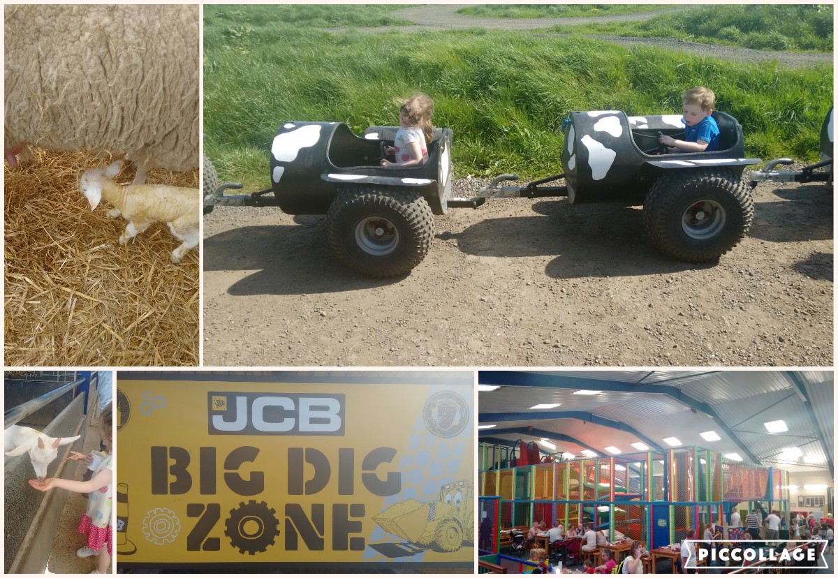 National Forest Adventure Farm