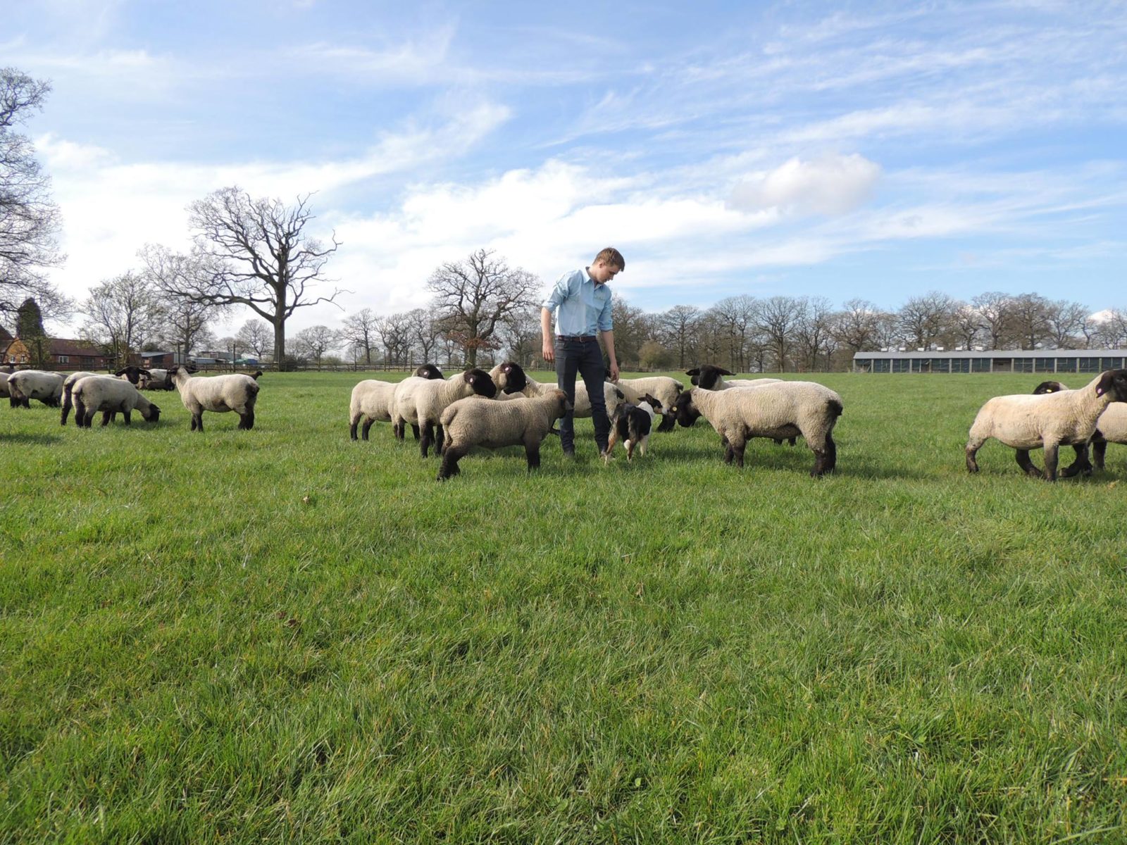 Visit Attwell Farm Beoley for FREE this Sunday! in North Worcestershire