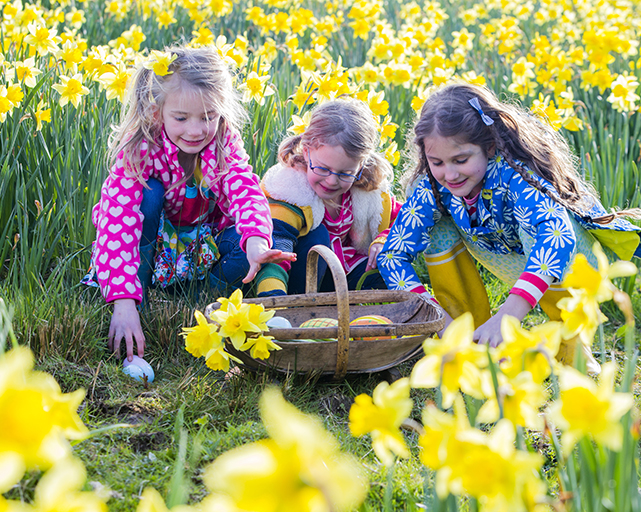 Ultimate guide for Easter Egg Hunts and Egg Rolling in Lancashire!