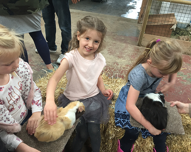 Cockfields Farm Party Review