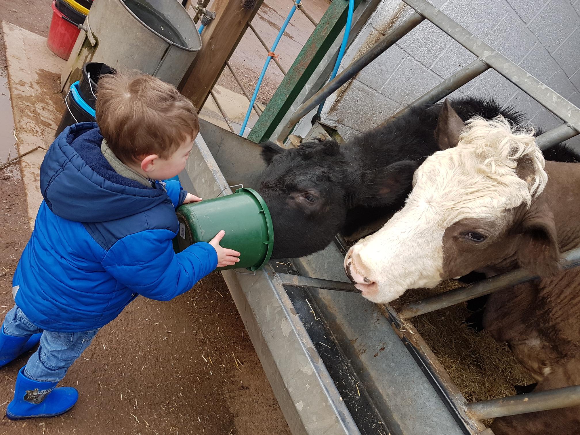 Review of Stonehurst Family Farm and Museum in Leicestershire by Joanna